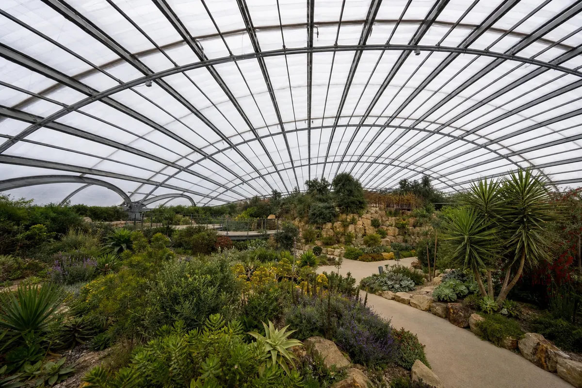 Daylit atrium under a translucent ETFE film roof with modern steel framing