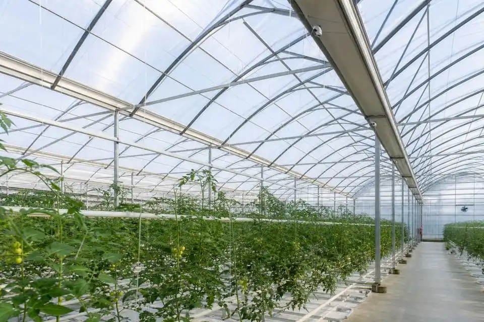 ETFE Greenhouse — Botanical Garden ETFE — Botanical Garden ETFE