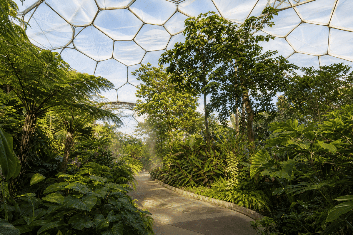 Botanical Garden ETFE Project gallery 4 — ETFE project visual