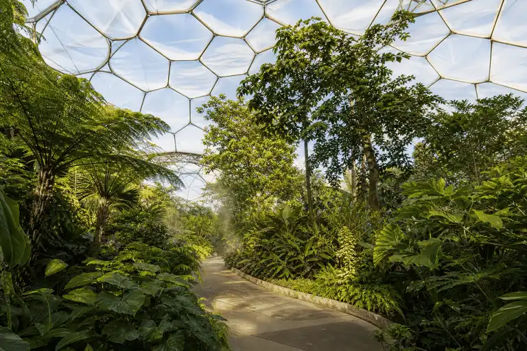 Botanical Garden ETFE Project gallery 4 — ETFE project visual