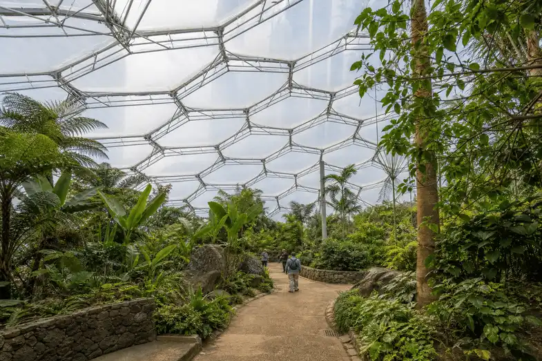 Botanical Garden ETFE Project — Project — Project