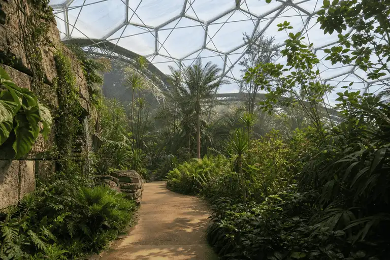 Botanical Garden ETFE Project video poster 1 — Botanical Garden ETFE
