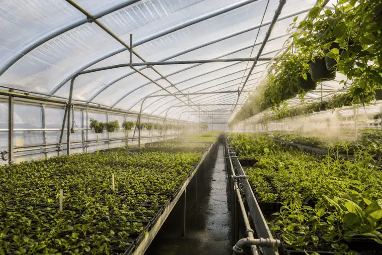 Greenhouse ETFE Project gallery 3 — ETFE project visual