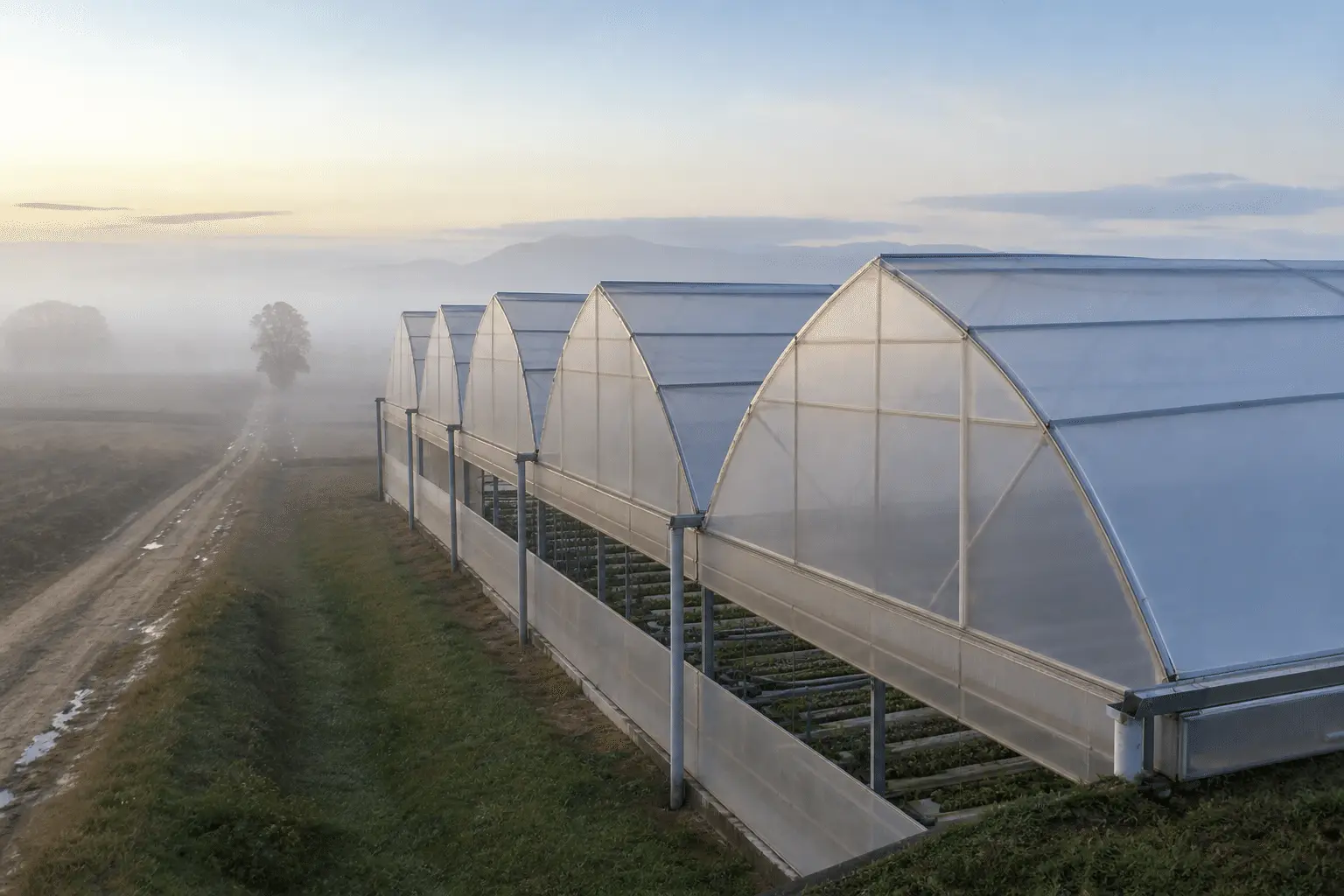 Greenhouse ETFE Project — Project — Project