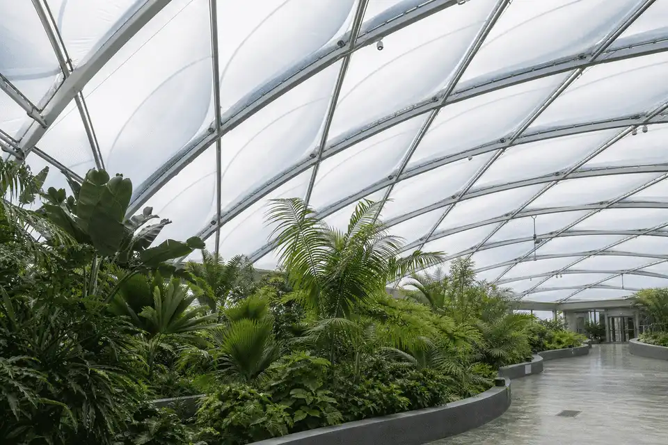 Greenhouse ETFE Project overview — daylit ETFE space — Greenhouse ETFE