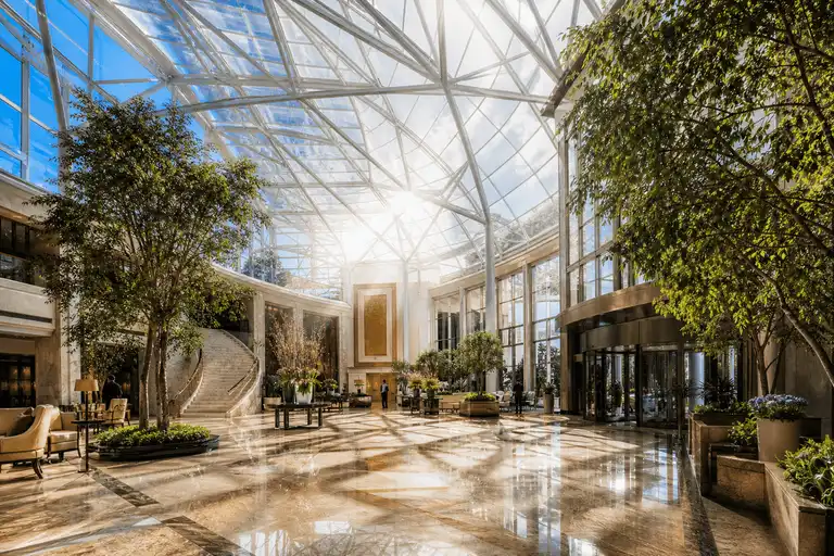 etfe light transmission gallery 01 — ETFE Light Transmission