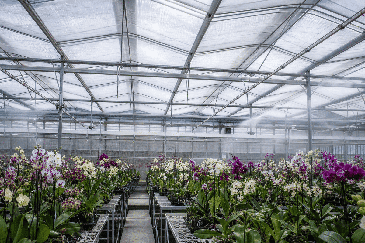 etfe thermal performance gallery 02