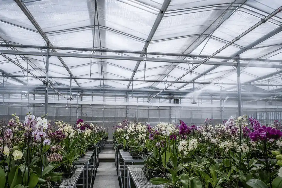 etfe thermal performance gallery 02 — ETFE Thermal Performance
