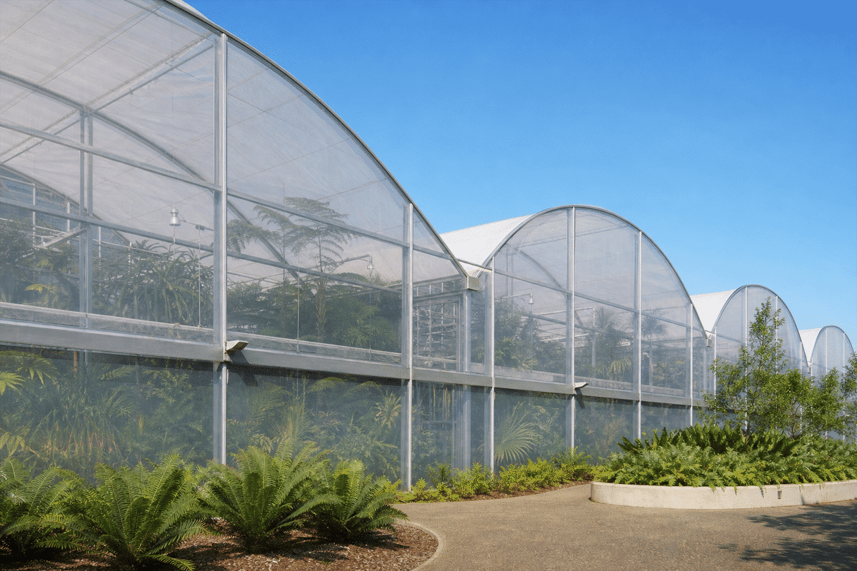 Greenhouse ETFE envelope with plants under blue sky